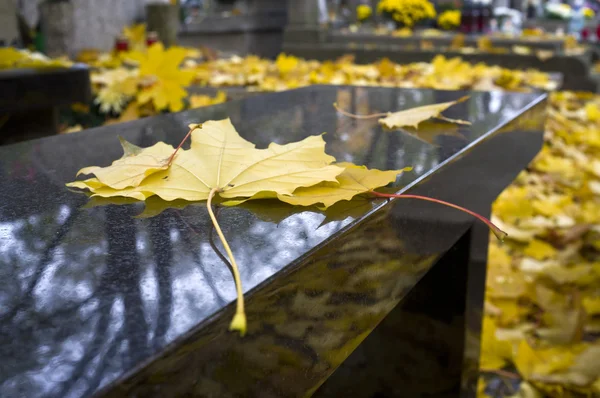 Folha amarela do outono no banco de mármore — Fotografia de Stock
