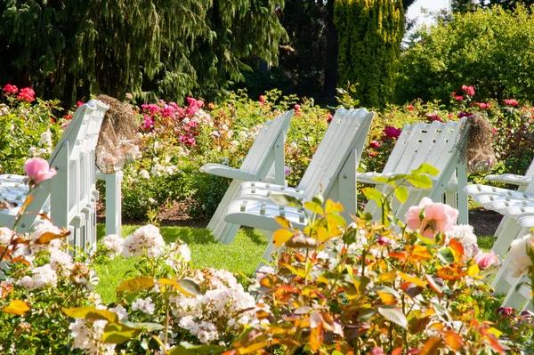 Chairs in a park — Stock Photo, Image
