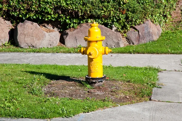 stock image Fire hydrant