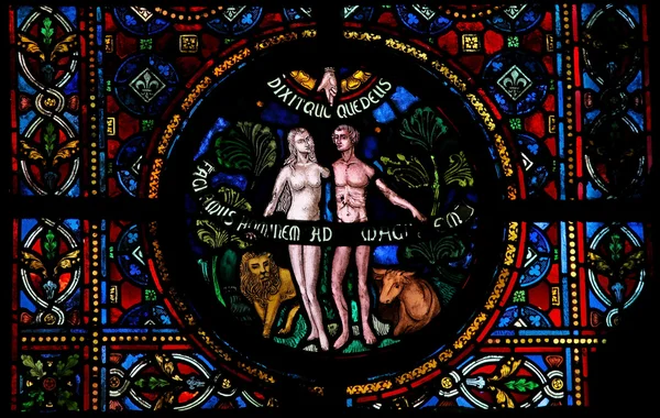 Criação de Adão e Eva — Fotografia de Stock