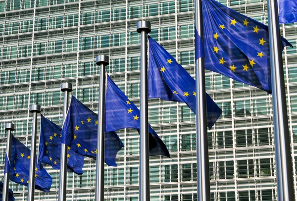 조개 속에 들어 있는 유럽 산 국기 — 스톡 사진
