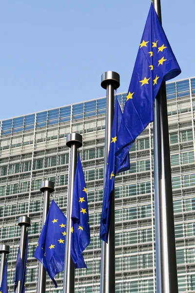 European flags in Brussels — Stock Photo, Image