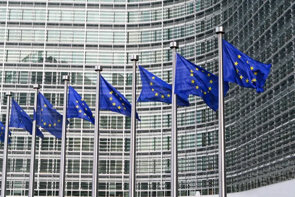 Ευρωπαϊκές σημαίες στις Βρυξέλλες Εικόνα Αρχείου