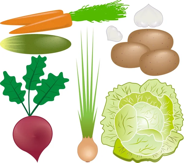Sada vektorů zeleniny — Stockový vektor