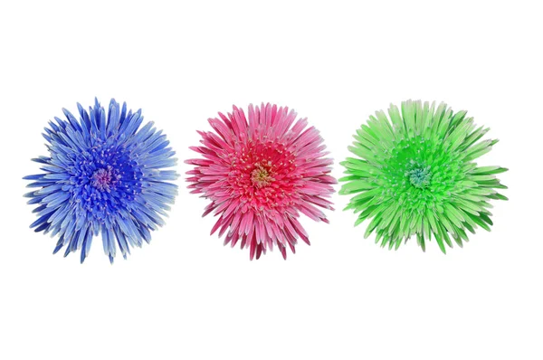 3-színes virágok. — Stock Fotó