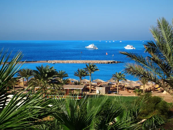 Ägyptische Küste — Stockfoto