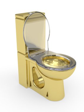 Altın wc