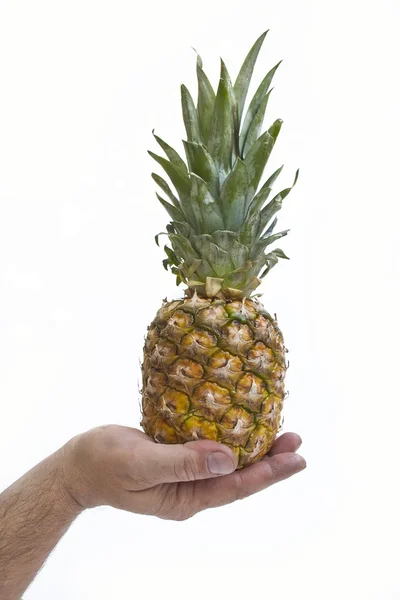 Erkekler elinde tek ananas — Stok fotoğraf