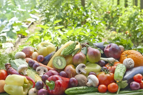 Assotrment av frukt och grönsaker — Stockfoto