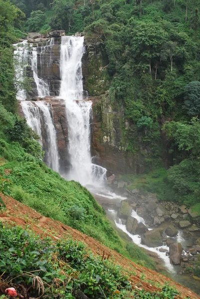 stock image Waterfalls in tropical forest