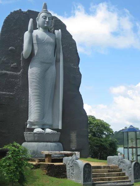 stock image Giant Buddah standing on lotus