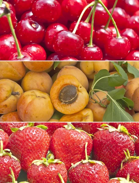 Früchte und Beeren — Stockfoto