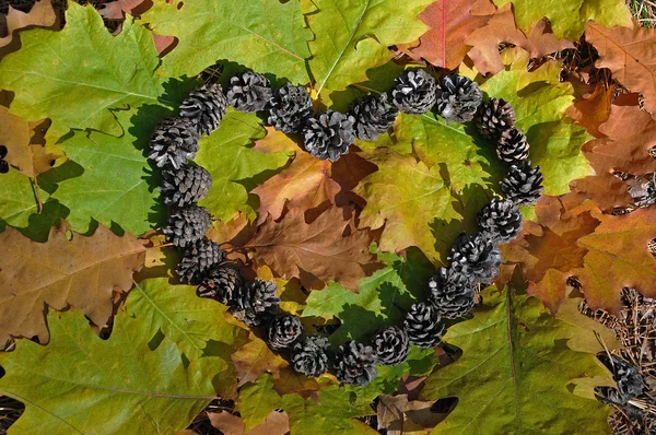 stock image Heart made of pines