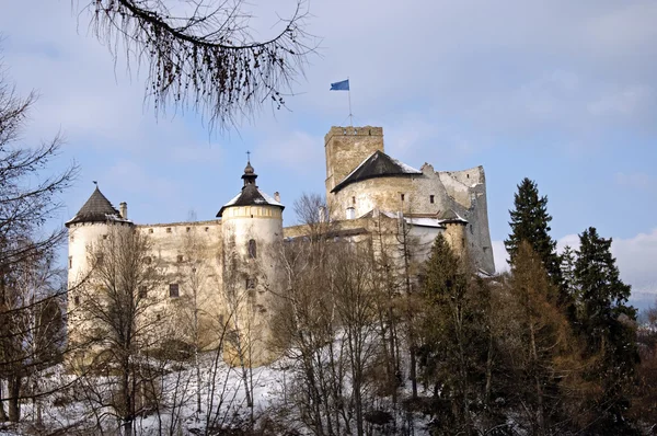 Slottet under vintern. — Stockfoto