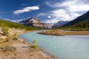 Beautiful canadian landscape, Jasper National Park, Alberta, Canada clipart