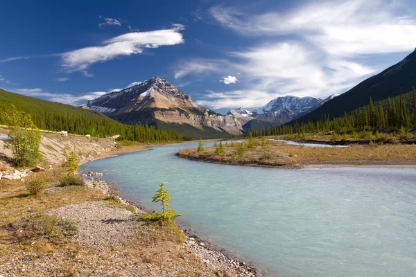 Прекрасный канадский пейзаж, Национальный парк Джаспер, Альберта, Канада — стоковое фото