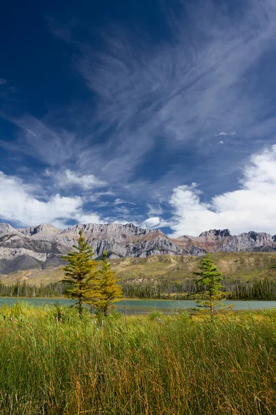 Прекрасный канадский пейзаж, Национальный парк Джаспер, Альберта, Канада Стоковое Фото