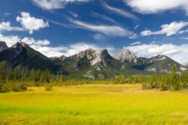 Beautiful Canadian Landscape, Jasper National Park, Alberta, Canada Royalty Free Stock Images