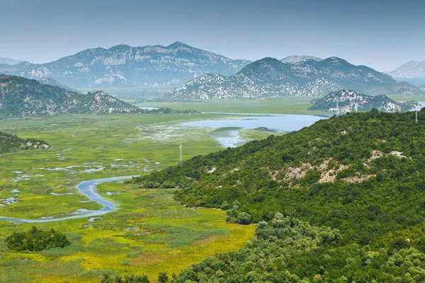 Скадарское озеро в Черногории — стоковое фото