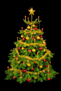 Gorgeous Christmas tree on black clipart