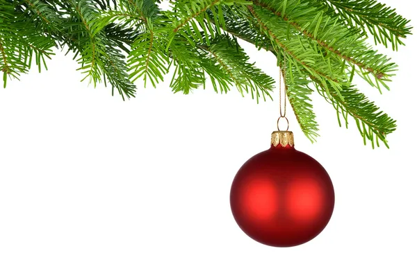 Červená Vánoční cetka visící z čerstvých zelených větviček — Stock fotografie