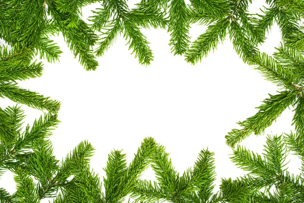 Fresh fir twigs border — Stock Photo, Image