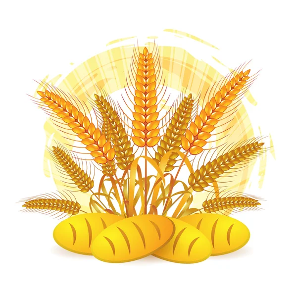 小麦的耳朵 — 图库矢量图片