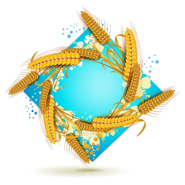 Portions de blé — Image vectorielle