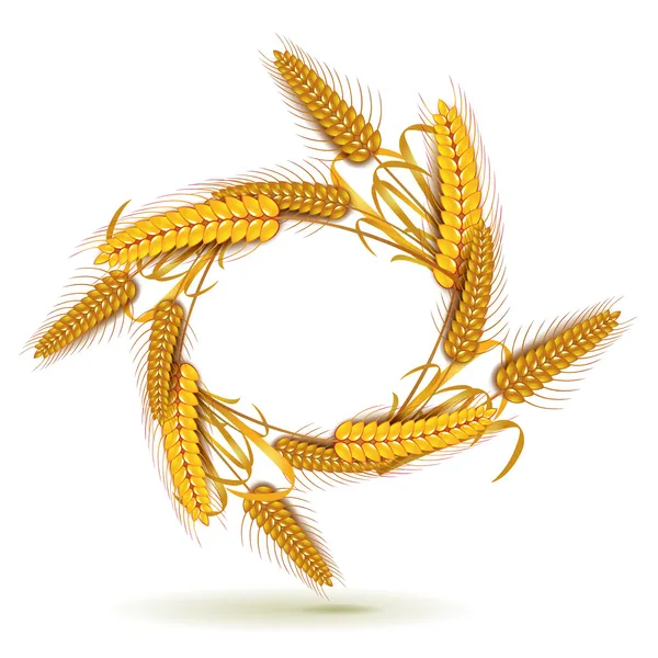 Gaine de blé — Image vectorielle