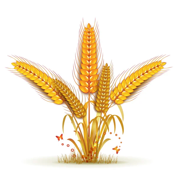 Пшеничный сноп — стоковый вектор