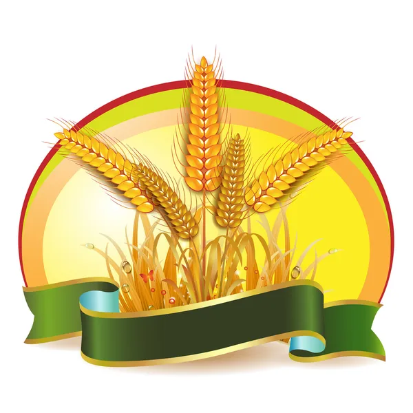 Weizenähren — Stockvektor