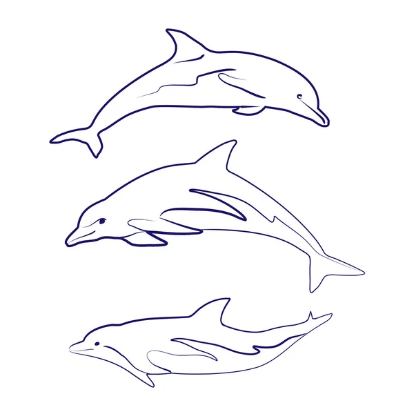 Sílhuetas de golfinhos — Vetor de Stock