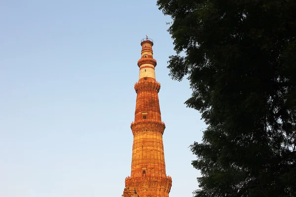 Το Qutub minar με δέντρο — Φωτογραφία Αρχείου