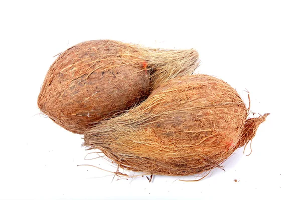 stock image Coconut