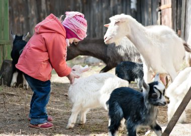 Small girl playing