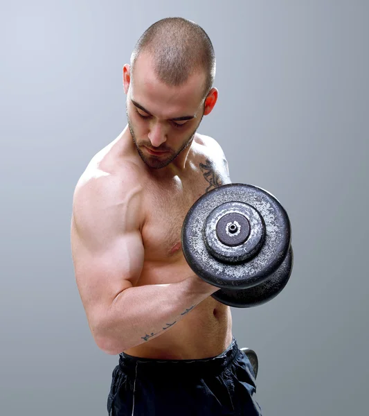 Young, masculine and fit man lifting dumbells — Stock Photo, Image
