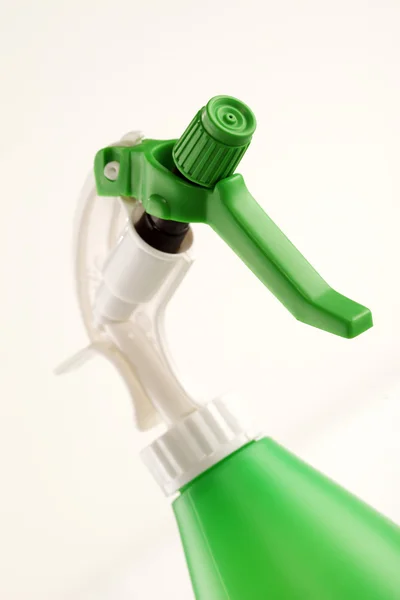 Spray de flor verde, close-up — Fotografia de Stock