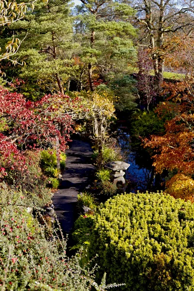 Jardins japonais Kildandre — Photo