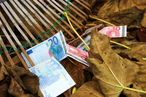 Euro in Fall, Autumn cleaning take 3 of 3 — Stock Photo, Image