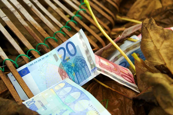 Euro in Fall, Autumn cleaning take 2 of 3 — Stock Photo, Image