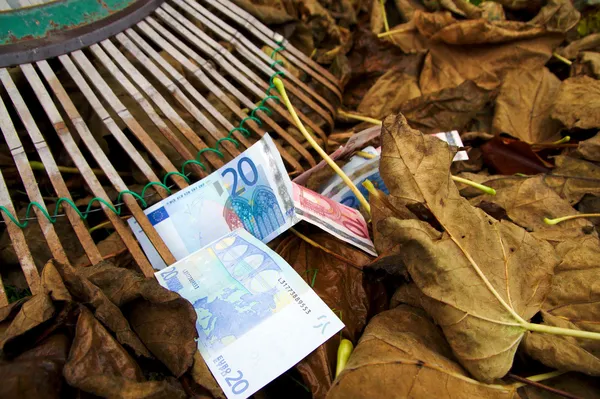 Euro in Fall, Autumn cleaning take 1 of 3 — Stock Photo, Image