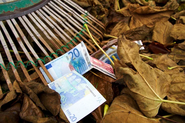 Euro ősszel, őszi takarítás figyelembe 1-3 Stock Kép