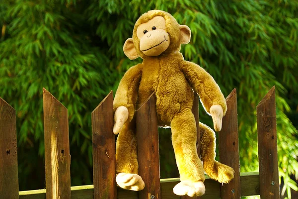 Фаршированная счастливая обезьяна сидит на заборе под солнцем — стоковое фото
