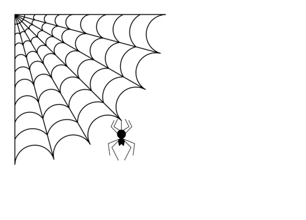 Örümcek örümcek ağı ile — Stok fotoğraf