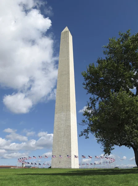 Monument de Washington Photos De Stock Libres De Droits
