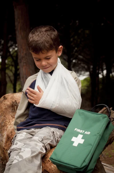 stock image First Aid in the Forest