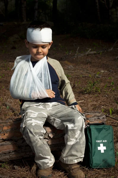 stock image First Aid in the Forest