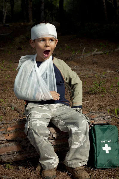 stock image First Aid in the Forest