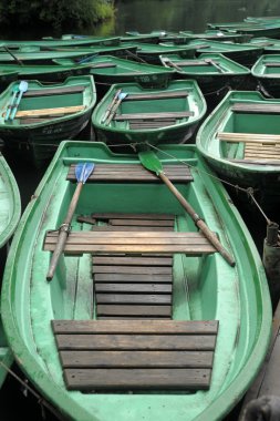A lot of green boat clipart