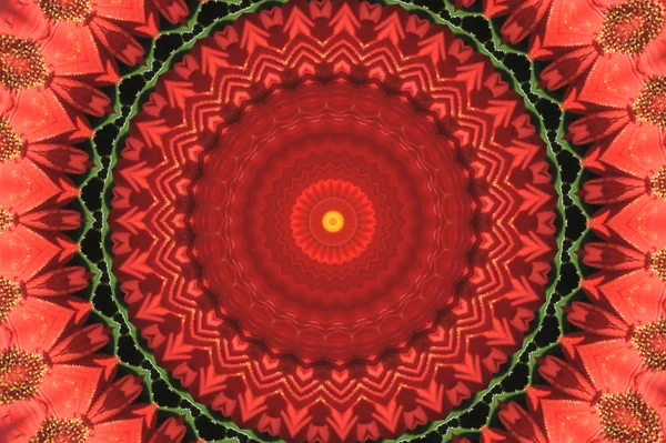 Mandala ornement rouge — Photo